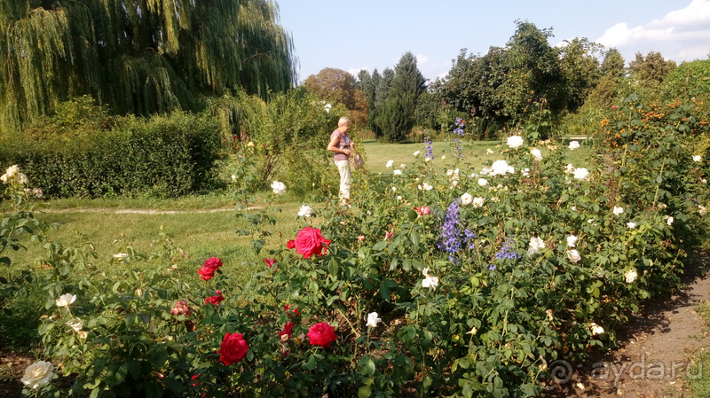 Ботанический сад, Киев. Весна-лето, осень-зима, а в середине Вечность! Лето. Ботанический сад, Киев. Весна-лето, осень-зима, а в середине Вечность! Лето.