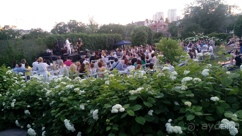 Ботанический сад, Киев. Весна-лето, осень-зима, а в середине Вечность! Лето. Ботанический сад, Киев. Весна-лето, осень-зима, а в середине Вечность! Лето.