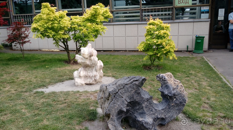 Ботанический сад, Киев. Весна-лето, осень-зима, а в середине Вечность! Лето. Ботанический сад, Киев. Весна-лето, осень-зима, а в середине Вечность! Лето.