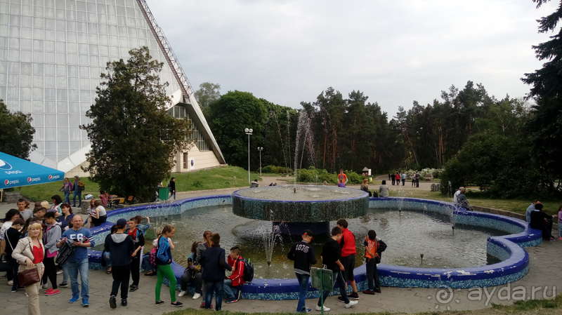  Ботанический сад, Киев. Весна-лето, осень-зима, а в середине Вечность! Лето.