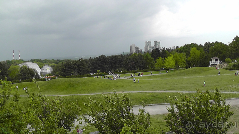  Ботанический сад, Киев. Весна-лето, осень-зима, а в середине Вечность! Лето.