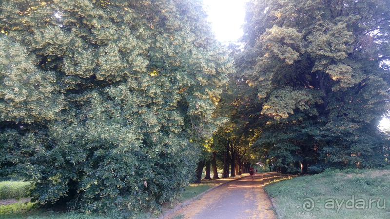Ботанический сад, Киев. Весна-лето, осень-зима, а в середине Вечность! Лето. Ботанический сад, Киев. Весна-лето, осень-зима, а в середине Вечность! Лето.