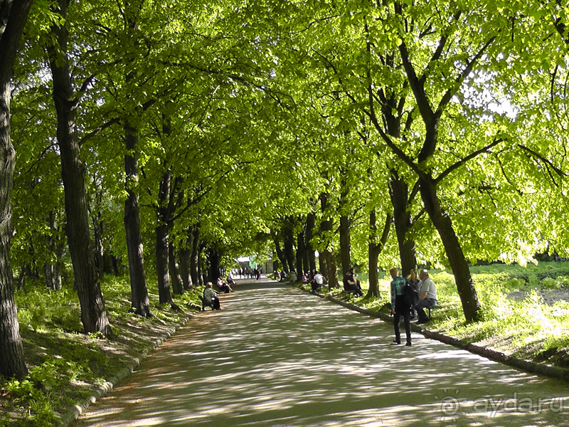 Ботанический сад, Киев. Весна-лето, осень-зима, а в середине Вечность! Лето. Ботанический сад, Киев. Весна-лето, осень-зима, а в середине Вечность! Лето.