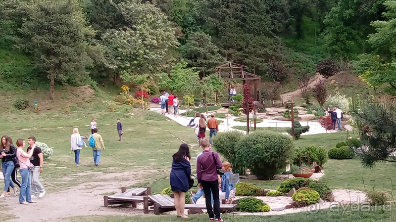  Ботанический сад, Киев. Весна-лето, осень-зима, а в середине Вечность! Лето.