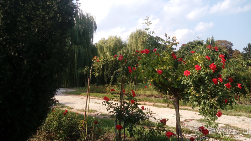 Ботанический сад, Киев. Весна-лето, осень-зима, а в середине Вечность! Лето. Ботанический сад, Киев. Весна-лето, осень-зима, а в середине Вечность! Лето.