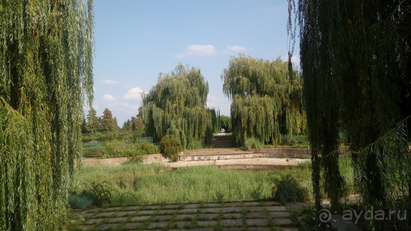  Ботанический сад, Киев. Весна-лето, осень-зима, а в середине Вечность! Лето.