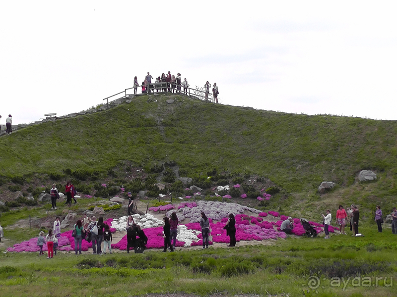 Ботанический сад, Киев. Весна-лето, осень-зима, а в середине Вечность! Лето. Ботанический сад, Киев. Весна-лето, осень-зима, а в середине Вечность! Лето.