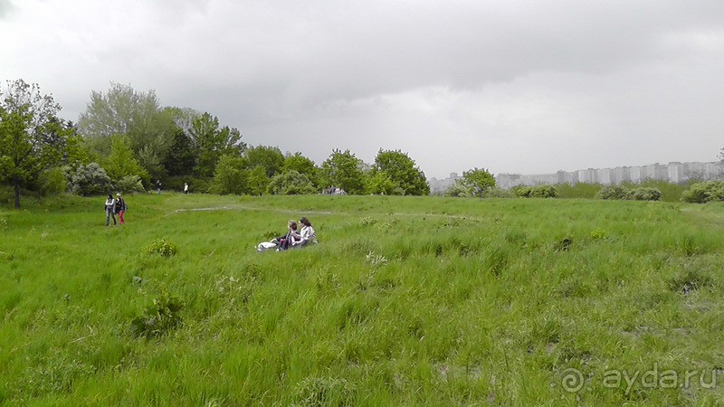 Ботанический сад, Киев. Весна-лето, осень-зима, а в середине Вечность! Лето. Ботанический сад, Киев. Весна-лето, осень-зима, а в середине Вечность! Лето.