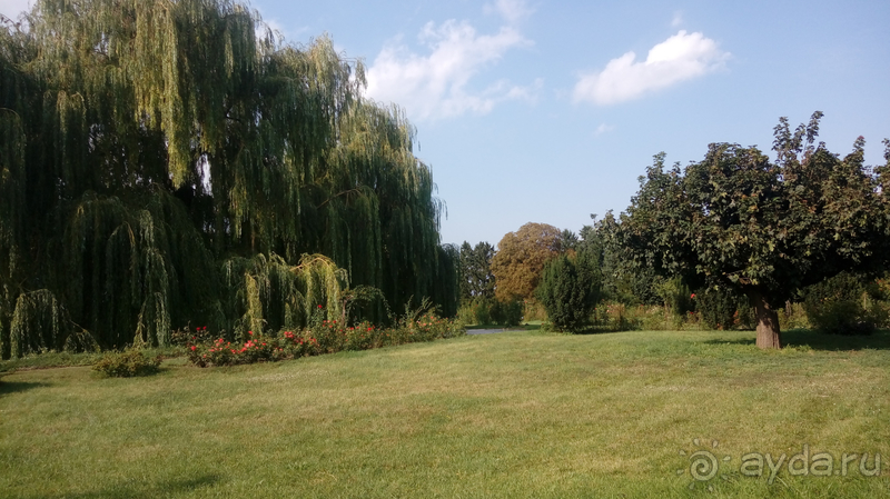  Ботанический сад, Киев. Весна-лето, осень-зима, а в середине Вечность! Лето.