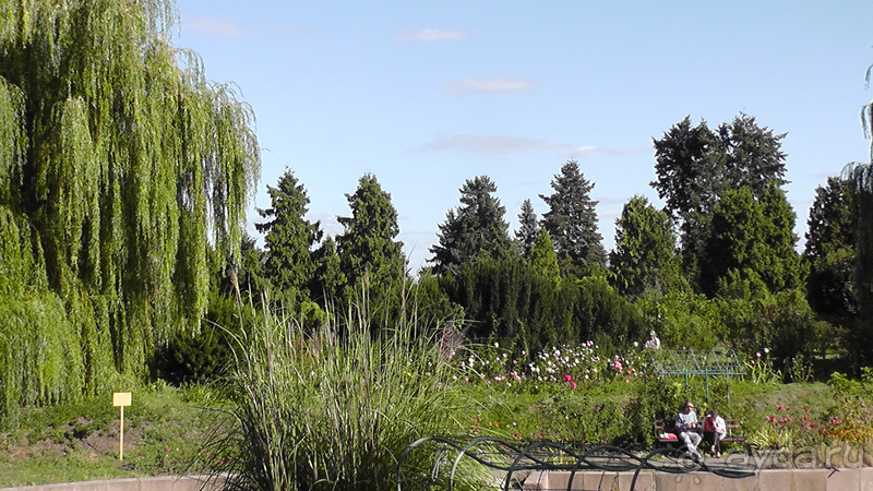  Ботанический сад, Киев. Весна-лето, осень-зима, а в середине Вечность! Лето.