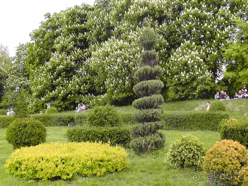 Ботанический сад, Киев. Весна-лето, осень-зима, а в середине Вечность! Лето. Ботанический сад, Киев. Весна-лето, осень-зима, а в середине Вечность! Лето.