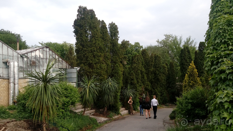  Ботанический сад, Киев. Весна-лето, осень-зима, а в середине Вечность! Лето.