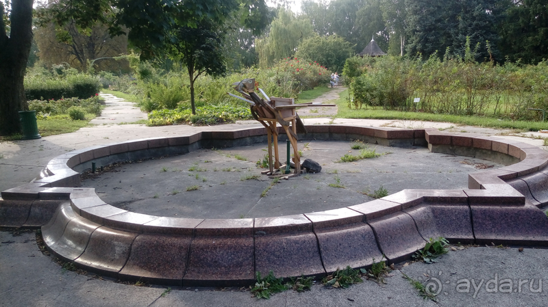 Ботанический сад, Киев. Весна-лето, осень-зима, а в середине Вечность! Лето. Ботанический сад, Киев. Весна-лето, осень-зима, а в середине Вечность! Лето.