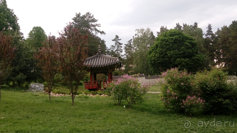  Ботанический сад, Киев. Весна-лето, осень-зима, а в середине Вечность! Лето.