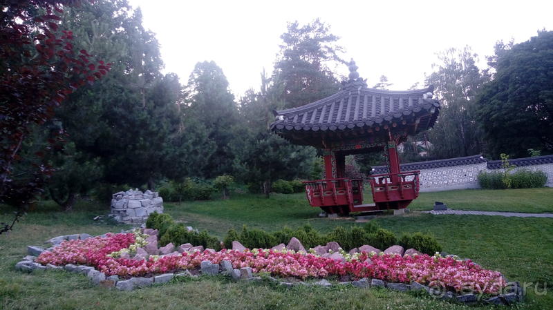 Ботанический сад, Киев. Весна-лето, осень-зима, а в середине Вечность! Лето. Ботанический сад, Киев. Весна-лето, осень-зима, а в середине Вечность! Лето.