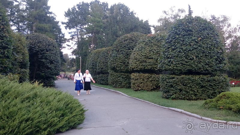 Ботанический сад, Киев. Весна-лето, осень-зима, а в середине Вечность! Лето. Ботанический сад, Киев. Весна-лето, осень-зима, а в середине Вечность! Лето.