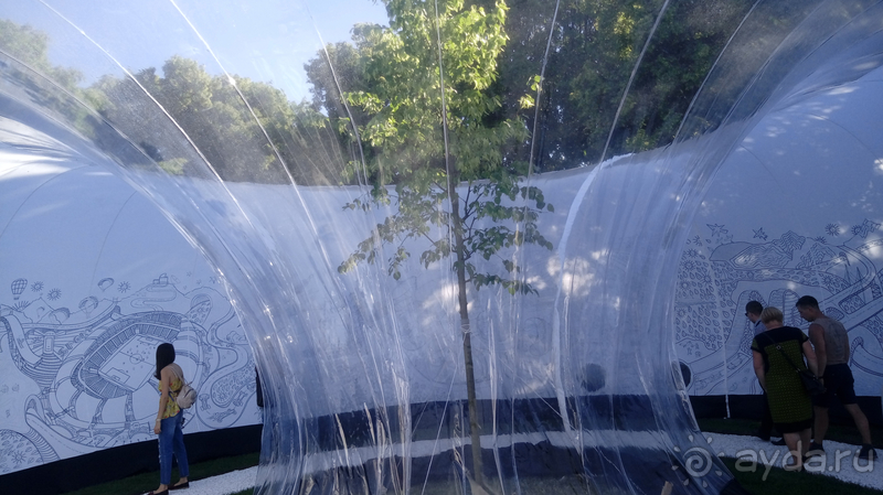 Ботанический сад, Киев. Весна-лето, осень-зима, а в середине Вечность! Лето. Ботанический сад, Киев. Весна-лето, осень-зима, а в середине Вечность! Лето.