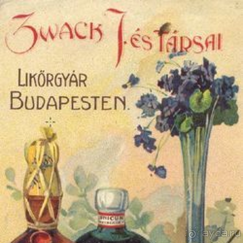 фото Barcelo Solymar