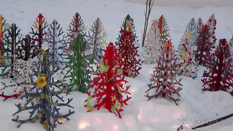 Киев - Мариинский парк, Михайловская и Софийская площади  - снежное царство 2017 года