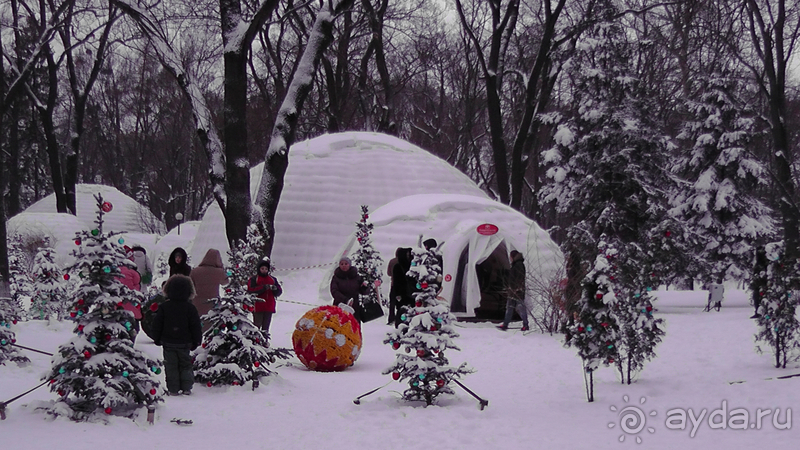 Киев - Мариинский парк, Михайловская и Софийская площади  - снежное царство 2017 года