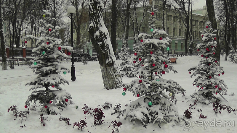 Киев - Мариинский парк, Михайловская и Софийская площади  - снежное царство 2017 года