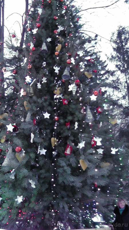 Киев - Мариинский парк, Михайловская и Софийская площади  - снежное царство 2017 года