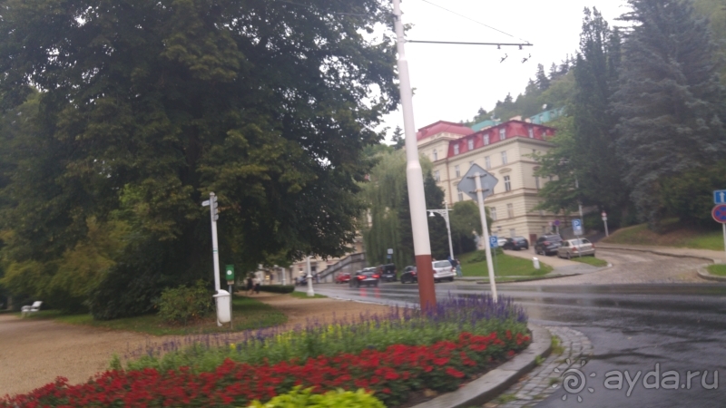 фото Pineta Park Deluxe Hotel