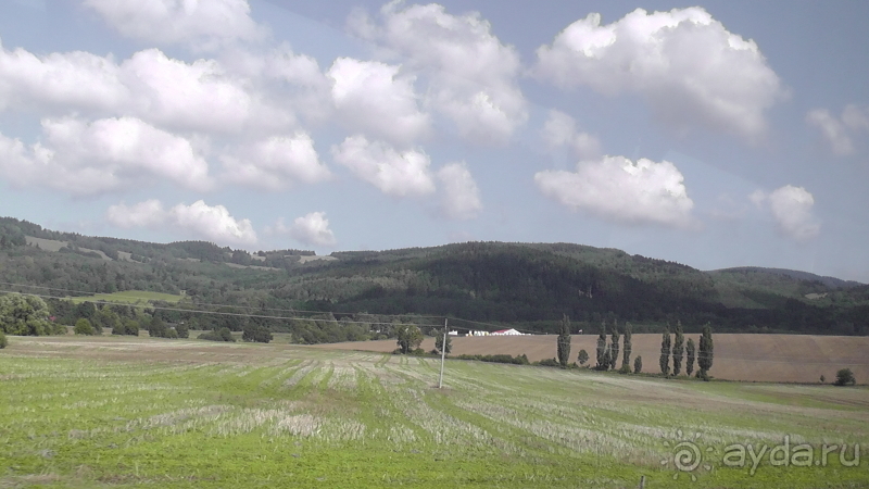 фото Pineta Park Deluxe Hotel