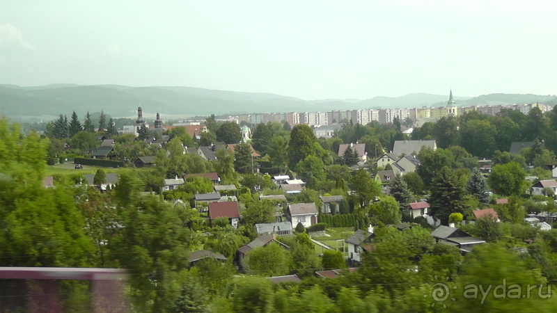 фото Pineta Park Deluxe Hotel