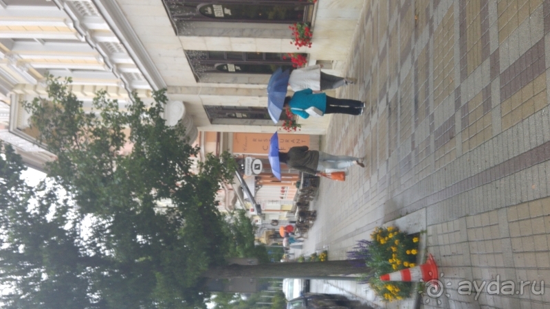 фото Pineta Park Deluxe Hotel