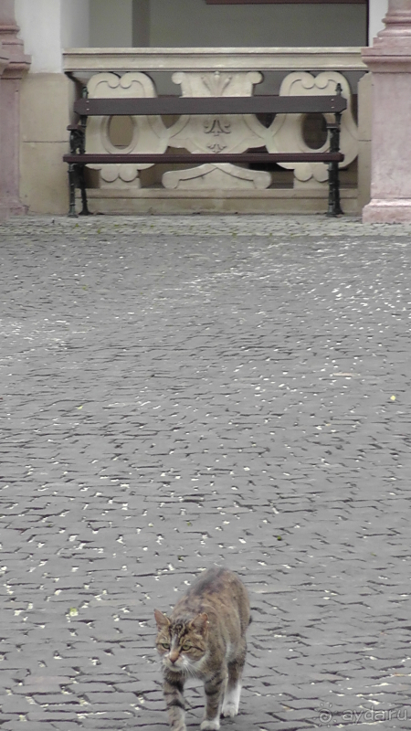 фото Limak Limra Hotel & Resort