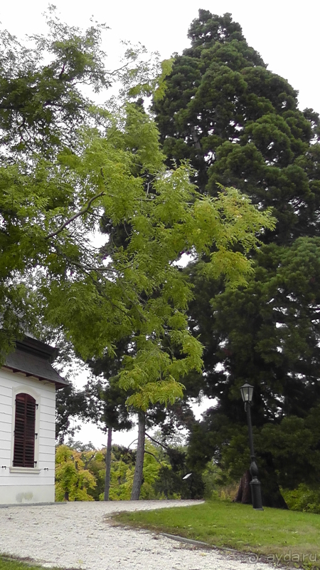 фото Limak Limra Hotel & Resort