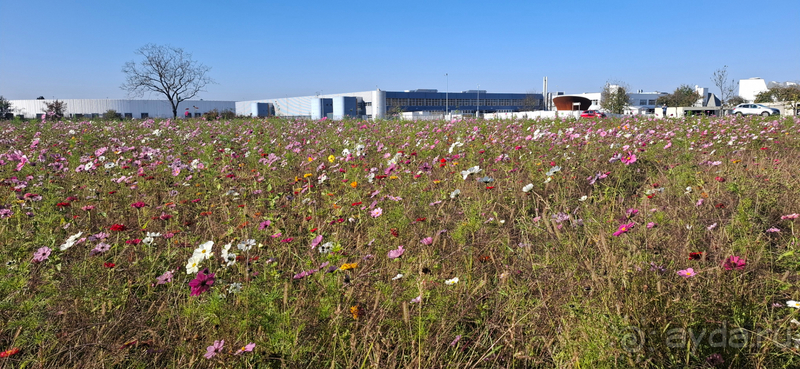 Альбом истории "Базель, Швейцария. Швейцарская выставка Vitra Campus в немецком городке."