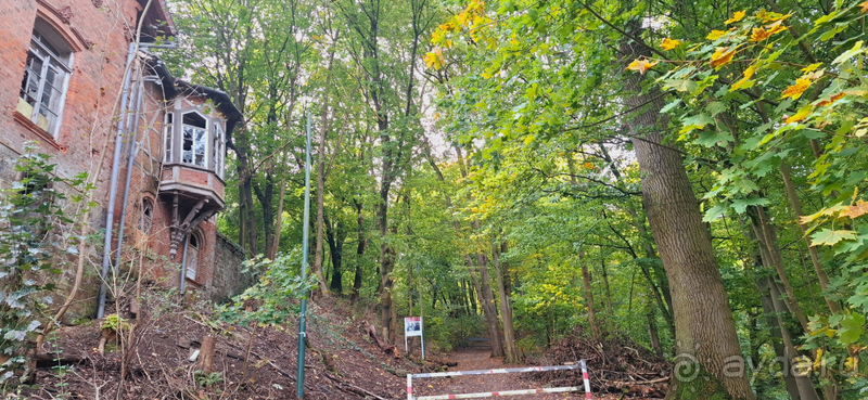 фото Веймара