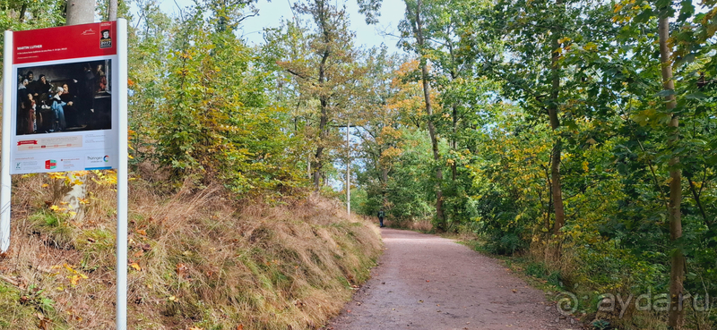 фото Веймара