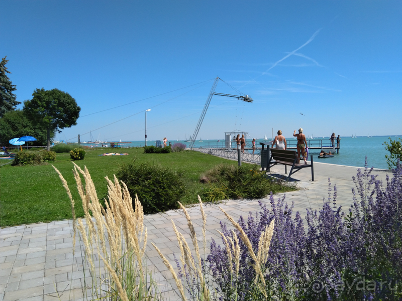 Альбом отзыва "Балатонфюред, Тихонь. Это Венгрия! И снова здрасти! "