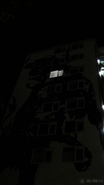 Альбом отзыва "Бельгия, Нидерланды. «Гулять, так гулять!». Бытовые зарисовки."