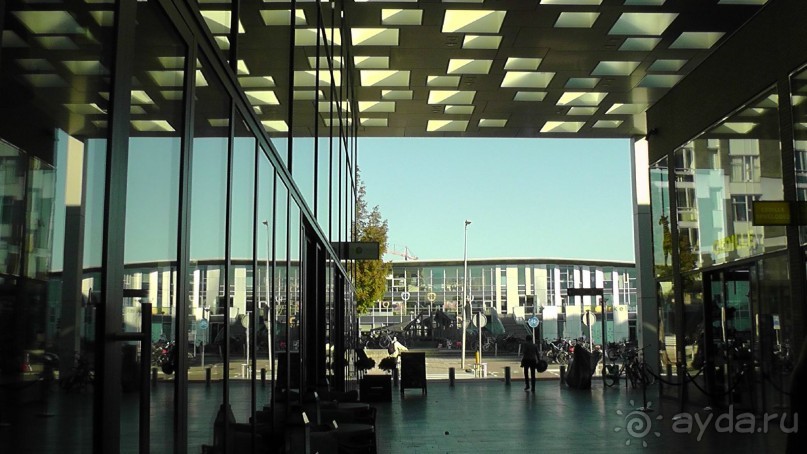 Бельгия, Нидерланды. «Гулять, так гулять!». Бытовые зарисовки.