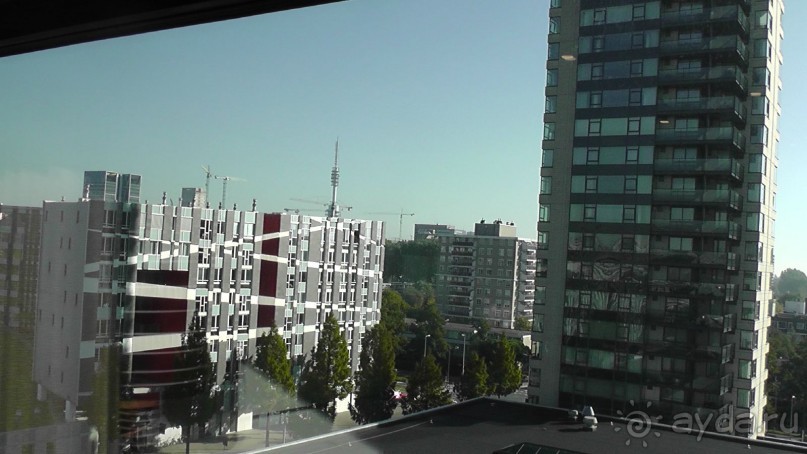 Бельгия, Нидерланды. «Гулять, так гулять!». Бытовые зарисовки.