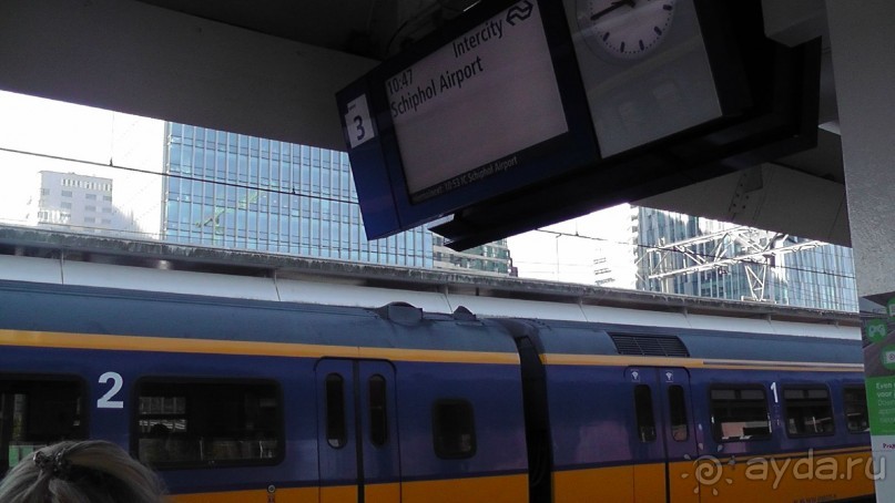 Бельгия, Нидерланды. «Гулять, так гулять!». Бытовые зарисовки.