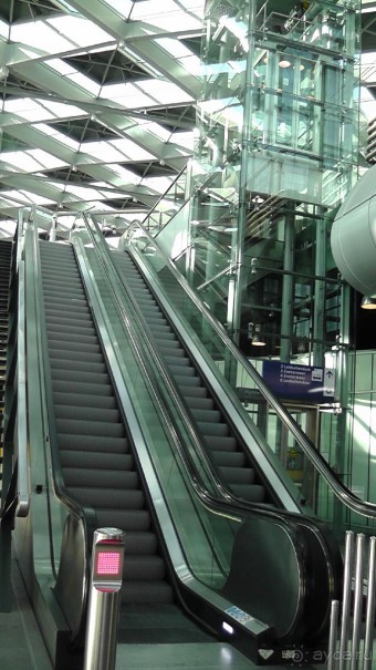 Бельгия, Нидерланды. «Гулять, так гулять!». Бытовые зарисовки.