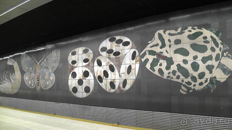 Бельгия, Нидерланды. «Гулять, так гулять!». Бытовые зарисовки.