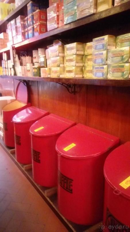 Бельгия, Нидерланды. «Гулять, так гулять!». Бытовые зарисовки.