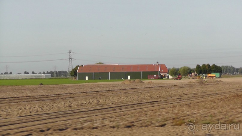 Бельгия, Нидерланды. «Гулять, так гулять!». Бытовые зарисовки.