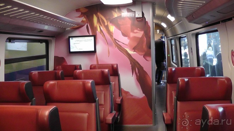 Бельгия, Нидерланды. «Гулять, так гулять!». Бытовые зарисовки.