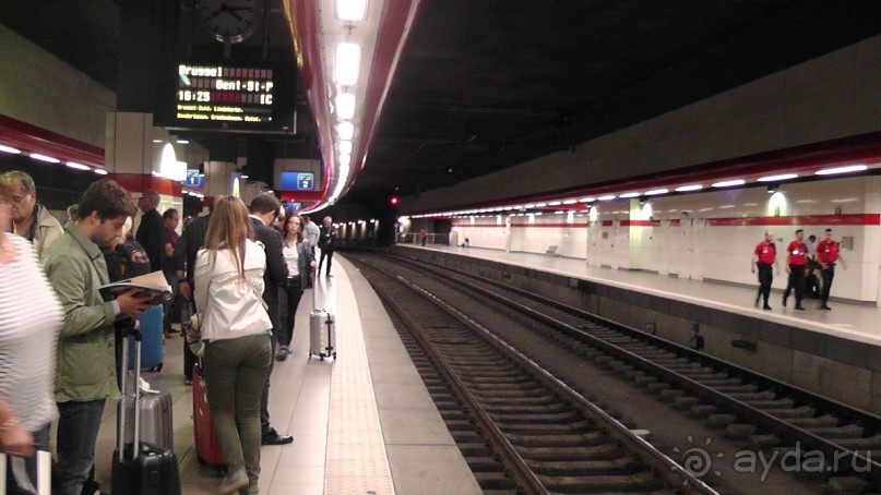 Бельгия, Нидерланды. «Гулять, так гулять!». Бытовые зарисовки.