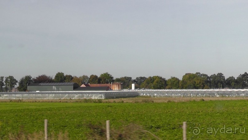 Бельгия, Нидерланды. «Гулять, так гулять!». Бытовые зарисовки.