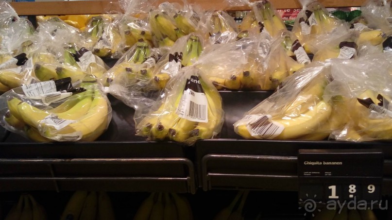 Бельгия, Нидерланды. «Гулять, так гулять!». Бытовые зарисовки.