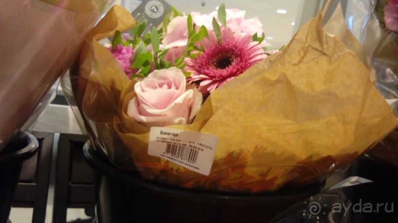 Бельгия, Нидерланды. «Гулять, так гулять!». Бытовые зарисовки.