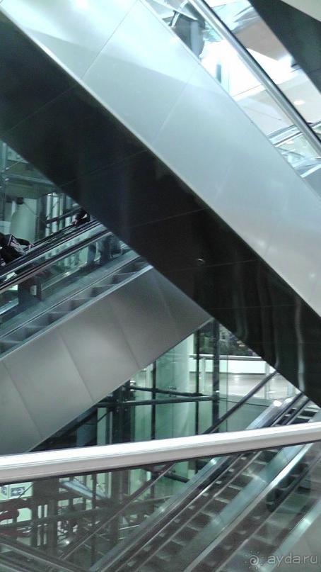 Бельгия, Нидерланды. «Гулять, так гулять!». Бытовые зарисовки.